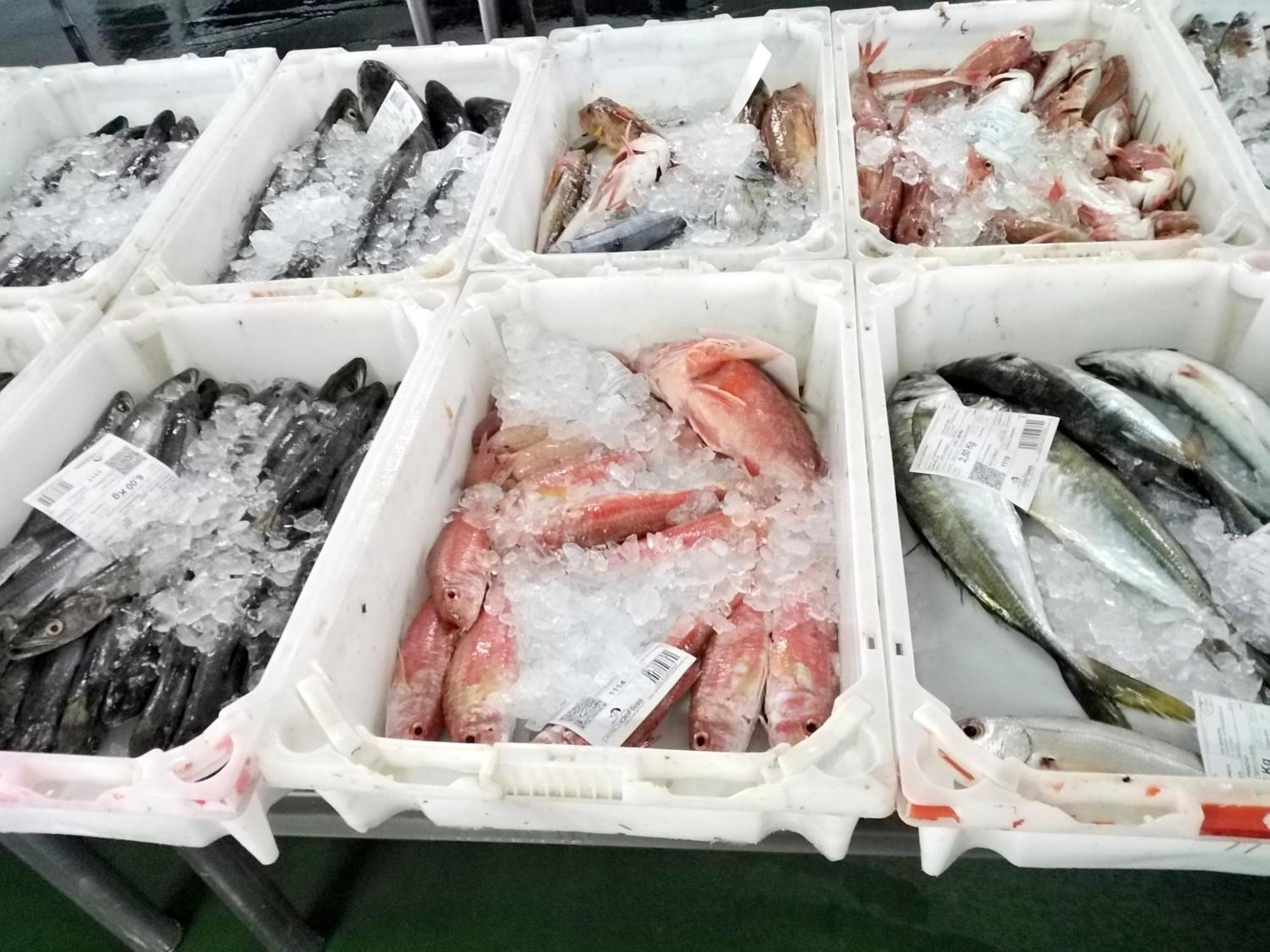 Terra Do Mar Atico Nuevo En Costa Da Morte, Camino De Los Faros Ponteceso Εξωτερικό φωτογραφία